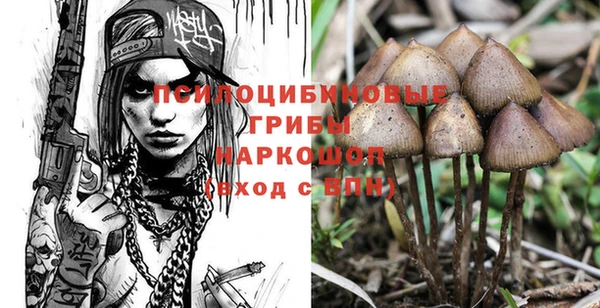 гидропоника Алексеевка