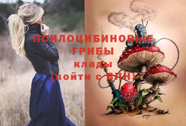 мдпв Алзамай
