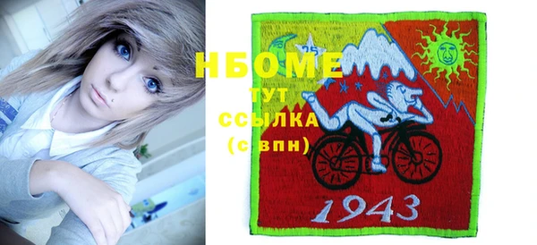 СК Алексин