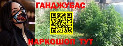 стаф Краснодар